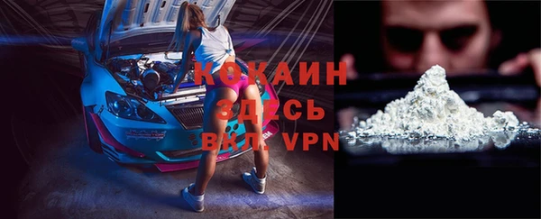 крисы Белокуриха