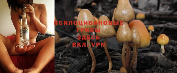 крисы Белокуриха