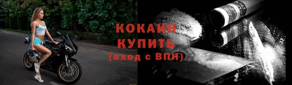 крисы Белокуриха