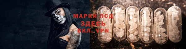 СК Беломорск